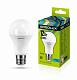 Лампа Ergolux LED-A60-12W-E27-4K купить Светодиодные