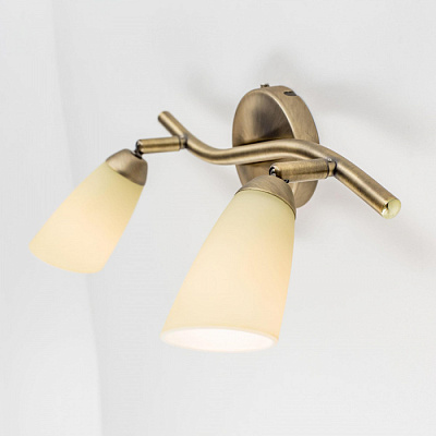 Спот CITILUX CL501523 Белла золото матовый Е14 2*60W купить Споты