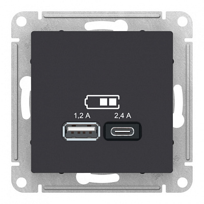 Розетка USB 2 порта AtlasDesign Карбон SE ATN001039 купить AtlasDesing
