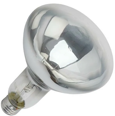 Лампа ИКЗ 250W E27 прозрачная Калашниково для птиц инфракрасная купить Накаливания 12V/24V/36V/220V