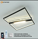 Люстра светодиодная Estares DAWN 12DL SL-APP-510x450x120-BLACK/WHITE 90W (до 20 кв.м) купить Светодиодные люстры