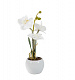 Светильник декоративный СТАРТ LED Орхидея1 маленькая белый ткань (CR2032) купить Декоративные