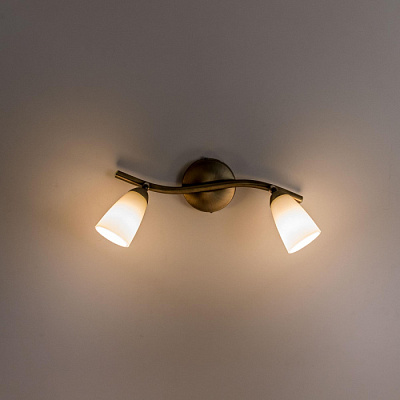 Спот CITILUX CL501523 Белла золото матовый Е14 2*60W купить Споты