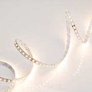 купить Светодиодная лента 24В 9,6Вт/м Arlight RT 2-5000 Warm2700 2*(3528 600LED LUX 010346(B) Лента 24V