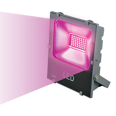 Прожектор Uniel ULF-P41-50W/SPBR для растений светодиодный 50W купить Для растений