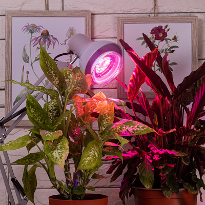 Лампа светодиодная ЭРА FITO-16W-RB-E27-K E27 16W 1310К для растений красно-синего спектра купить Для растений, животных