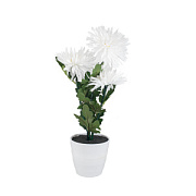 купить Светильник декоративный СТАРТ LED Хризантема3 (2*АА не вх в компл) ткань белый Настольные