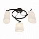 Люстра потолочная Citilux Тайфун CL136131 Хром Венге купить Ламповые люстры