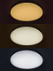 Люстра светодиодная Estares R-350-Shiny/White Saturn 25 W RGB без канта ПУЛЬТ до 10 кв м купить Светодиодные люстры