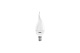 Лампа Camelion LED5-CW35/845/E14 свеча на ветру купить Светодиодные