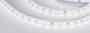 купить Светодиодная лента 24В 14.4Вт/м Arlight RT 2-5000 White6000 2*(5060 300LED LUX) 008829(B) Лента 24V