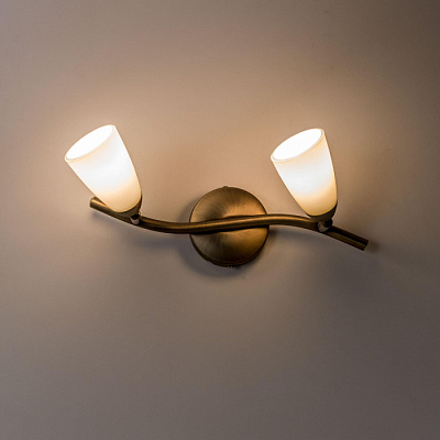 Спот CITILUX CL501523 Белла золото матовый Е14 2*60W купить Споты