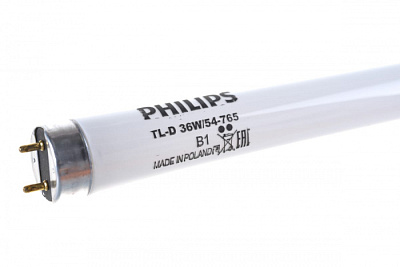 Лампа люминесцентная PHILIPS TLD 36W/765 G13  купить Люминесцентные