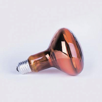 Лампа ИКЗК E27 250W для животных (инфракрасная)Калашниково купить Для растений, животных