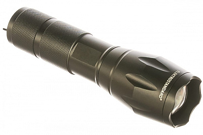 Фонарь Elektrostandard FLG75-3W Louis  купить Фонари