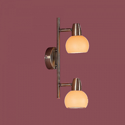 Спот CITILUX CL516523 Бонго бронза Е14 2*60W купить Споты