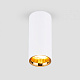 Точечный светильник Elektrostandard DLR030 12W светодиоды белый матовое золото купить Точечные светильники