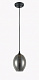 Подвесной светильник LINVEL LV 9317/1 Альраи Чёрный E27 40W  купить Подвесные светильники