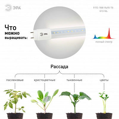 Лампа для растений ЭРА G13 T8 18W 1200mm полный спектр купить Светодиодные