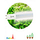 Лампа для растений ЭРА G13 T8 18W 1200mm полный спектр купить Светодиодные