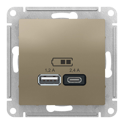 Розетка USB 2 порта AtlasDesign Шампань SE ATN000539 купить AtlasDesign