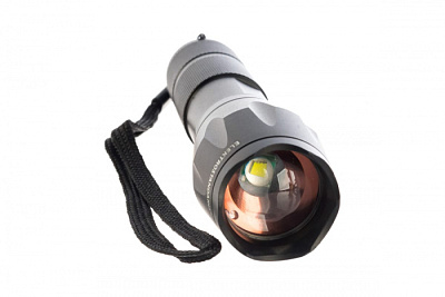 Elektrostandard Фонарь FLG71-2.5W Polo  купить Фонари