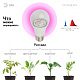 Лампа светодиодная ЭРА FITO-10W-RB-E27-K E27 10W для растений красно-синего спектра купить Для растений, животных