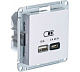Розетка USB 2 порта AtlasDesign Жемчуг SE ATN000429 ускоренная купить AtlasDesing