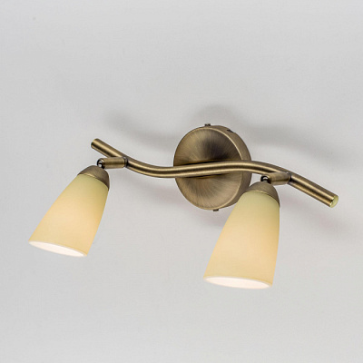 Спот CITILUX CL501523 Белла золото матовый Е14 2*60W купить Споты