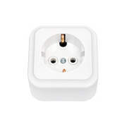 купить Розетка 1-ая з/к ПРАЛЕСКА РА16-254 ОУ  16A 220V Светоприбор Беларусь накладные