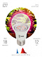 Лампа светодиодная ЭРА FITO-12W-RB-E27-K E27 12W для растений красно-синего спектра купить Для растений, животных