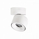 Светильник накладной Citilux Стамп CL558010N светодиодный Белый купить Точечные светильники