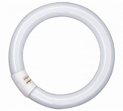 Лампа L22/840 Circular Osram G10q купить Люминесцентные