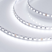 купить Светодиодная лента 24В 23Вт/м Arlight RT6-5050-96 White  3*(480 LED) 017427 Лента 24V