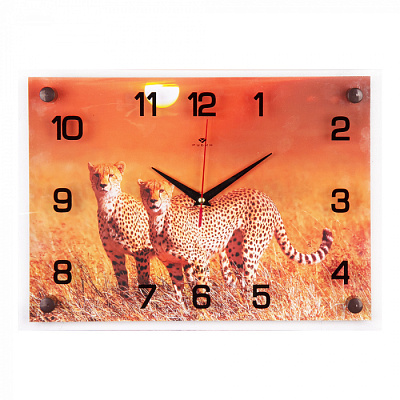 Часы настенные 21Век 2535-075 "Сафари" купить Часы