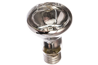 CAMELION Лампа 60/R63/E27 купить Накаливания 12V/24V/36V/220V