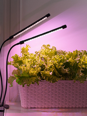 Лампа настольная светодиодная для растений Artstyle TL-FC02S2B черный 15W купить Для растений