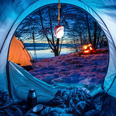 Фонарь Elektrostandart FL130 Globe купить Фонари