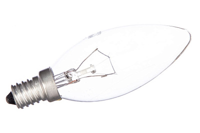 CAMELION Лампа 60/B/CL/E14 купить Накаливания 12V/24V/36V/220V