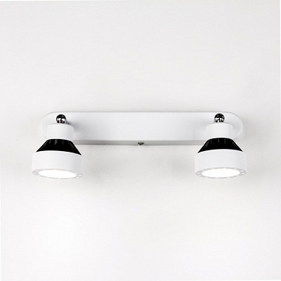 Спот CITILUX CL557521 Данди белый светодиоды 2*7W 3000К купить Споты