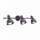 Спот CITILUX CL502532 Опус венге выключатель Е14 3*60W купить Споты