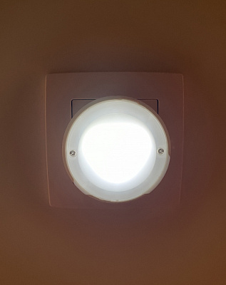 Ночник ЭРА NN-626-LS-Y светодиодный Бычок желтый фотосенсор 0.5W купить Ночники