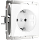 Розетка з/к Werkel WL01-SKG-01 белый W1171001 купить Werkel