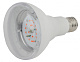 Лампа светодиодная ЭРА FITO-16W-RB-E27-K E27 16W 1310К для растений красно-синего спектра купить Для растений, животных