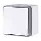 Werkel Выключатель WL15-01-02 IP44 белый (1-кл. IP44) W5010201 купить Werkel Gallant  накладные