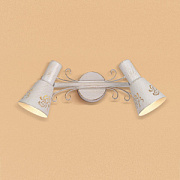 купить Спот Citilux CL529522 Дункан Белый золото E14 2*60W Споты