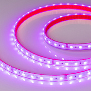 купить Светодиодная лента 24В 14,4Вт/м Arlight RTW 2-5000PS RGB 2*(5060 300LED LUX) 021400 Лента 24V