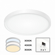 купить Накладной светильник CITILUX CL738240V Бейсик 24W 4000K 2900Lm IP40 300*25 Белый 3 режима Светодиодные люстры
