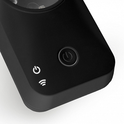 Умная розетка Elektrostandard 76100/00 черный купить Системы управления