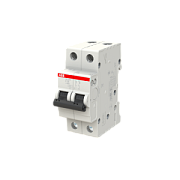 купить Автоматический выключатель ABB SH202L 2P 25A (C) 4.5кА ABB